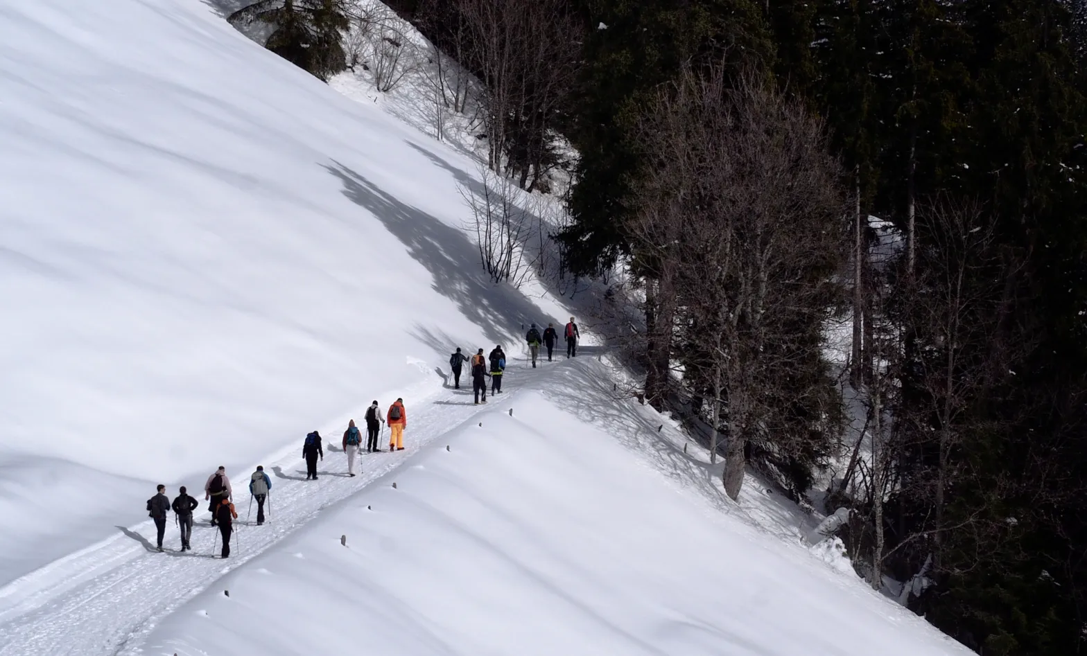 Raquettes au Mont Chevreuil – Raquettes au Mont Chevreuil